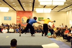 2016 Tournament cd - 120 of 260