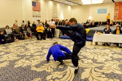 2016 Tournament cd - 171 of 260