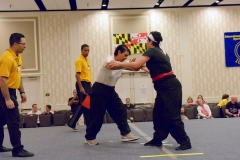 2016 Tournament cd - 203 of 260