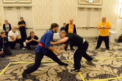 2016 Tournament cd - 219 of 260