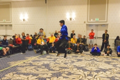 2016 Tournament cd - 225 of 260