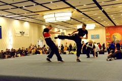 2016 Tournament cd - 244 of 260
