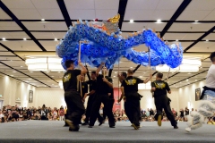 Opening Ceremonies 2016