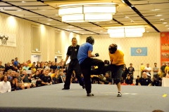 2016 Tournament cd - 85 of 260
