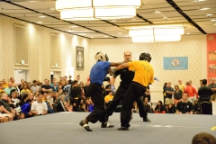 2016 Tournament cd - 91 of 260