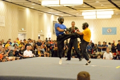 2016 Tournament cd - 96 of 260