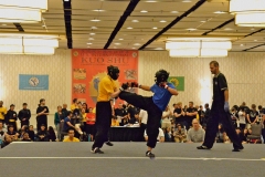 DSC_7746